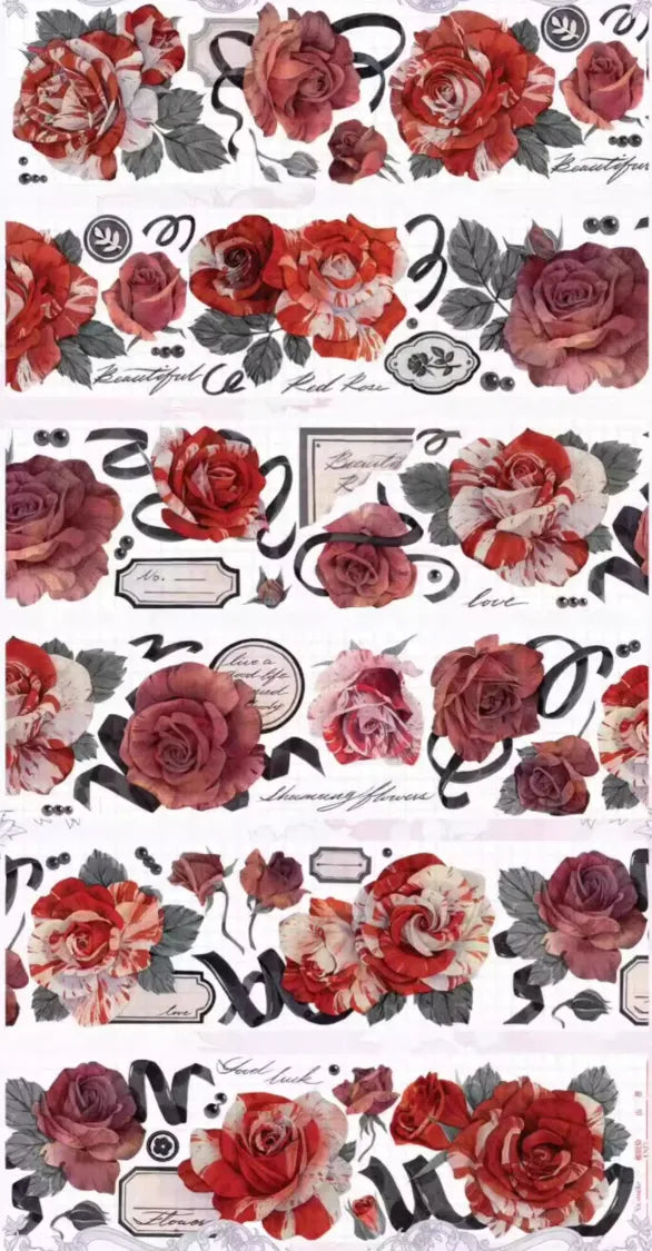 1855-xx studio-6x100cm Shell Luster PET Tape