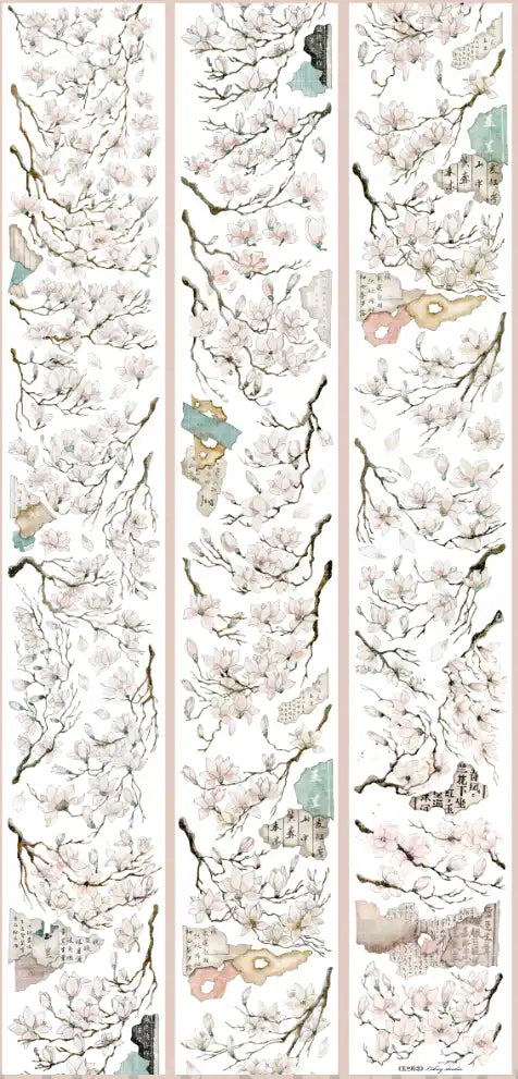 3604-Likey Studio-6x100cm Shell Luster PET Tape