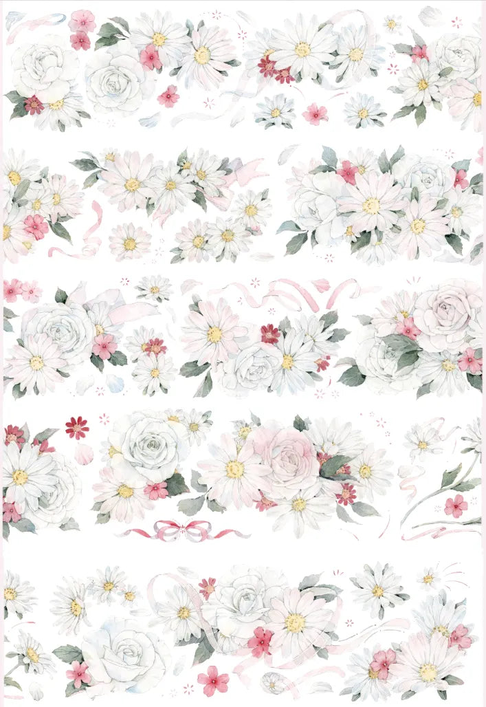 4068-6x100cm Precut Shell Luster PET Tape