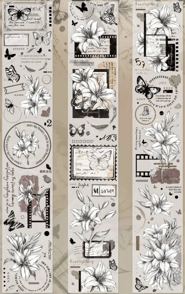 4302-XIAO BAI Studio-6x100cm Glossy PET Tape