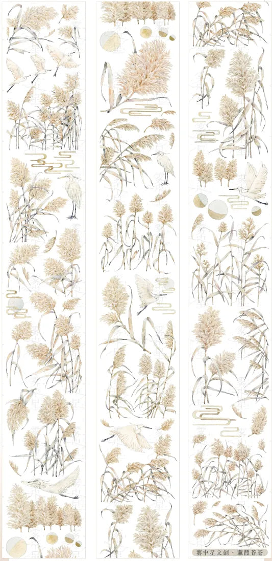 4307-MIST WITH STAR Studio-5.5x100cm Shell Luster PET Tape