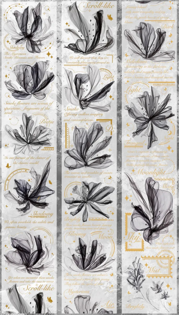 4431-SIQING Studio-6x100cm Gold Shell Luster PET Tape