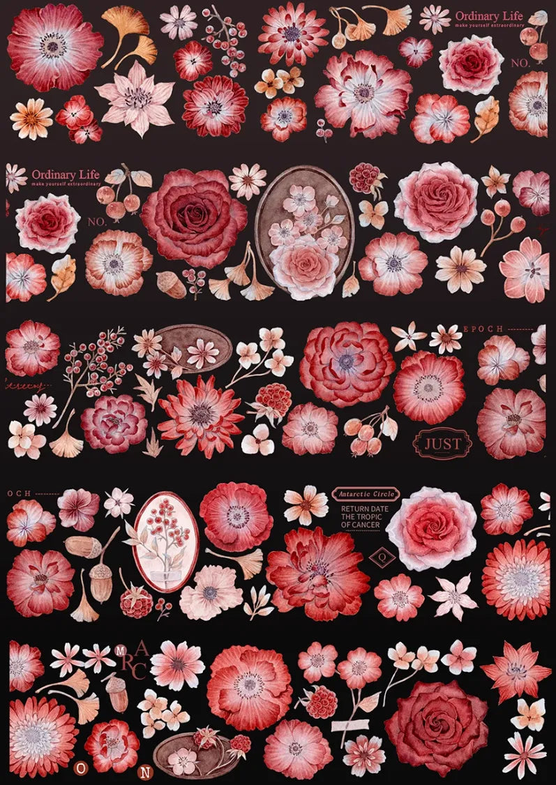 4927-HASISO Studio-6x100cm Shell Luster PET Tape