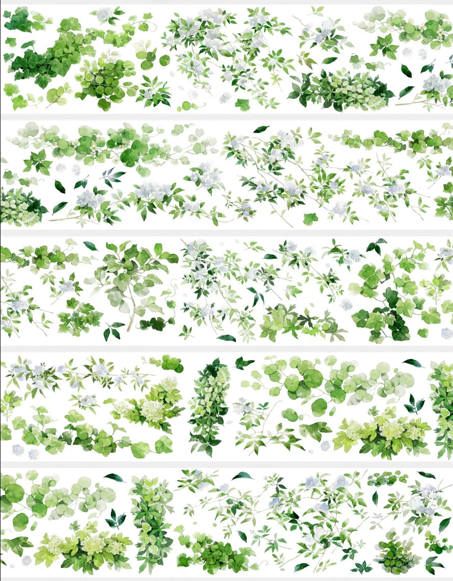 5056-XIAOYINYUYE Studio-6x100cm Shell Luster PET Tape