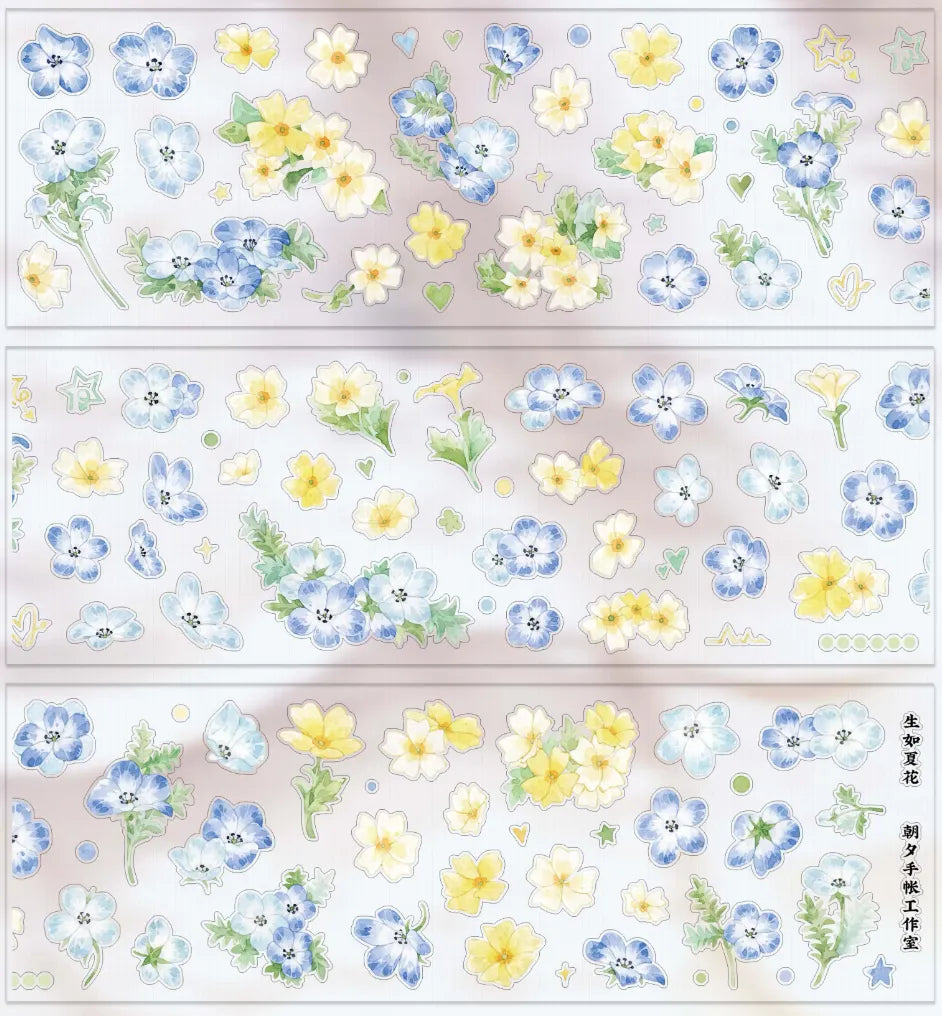 5375-ZHAOXI Studio-6x50cm Precut Matte PET Tape