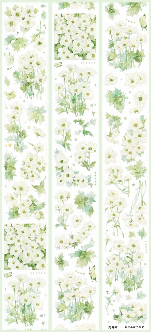 5378-ZHAOXI Studio-6x100cm Shell Luster PET Tape