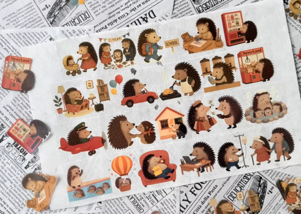 5439-SENNIAN Studio-4.5x100cm Glossy PET Tape