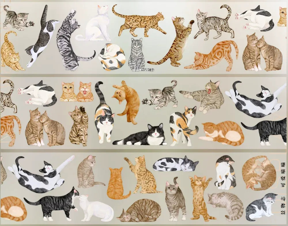 5678-JINGWUZHI Studio-5x50cm Glossy PET Tape