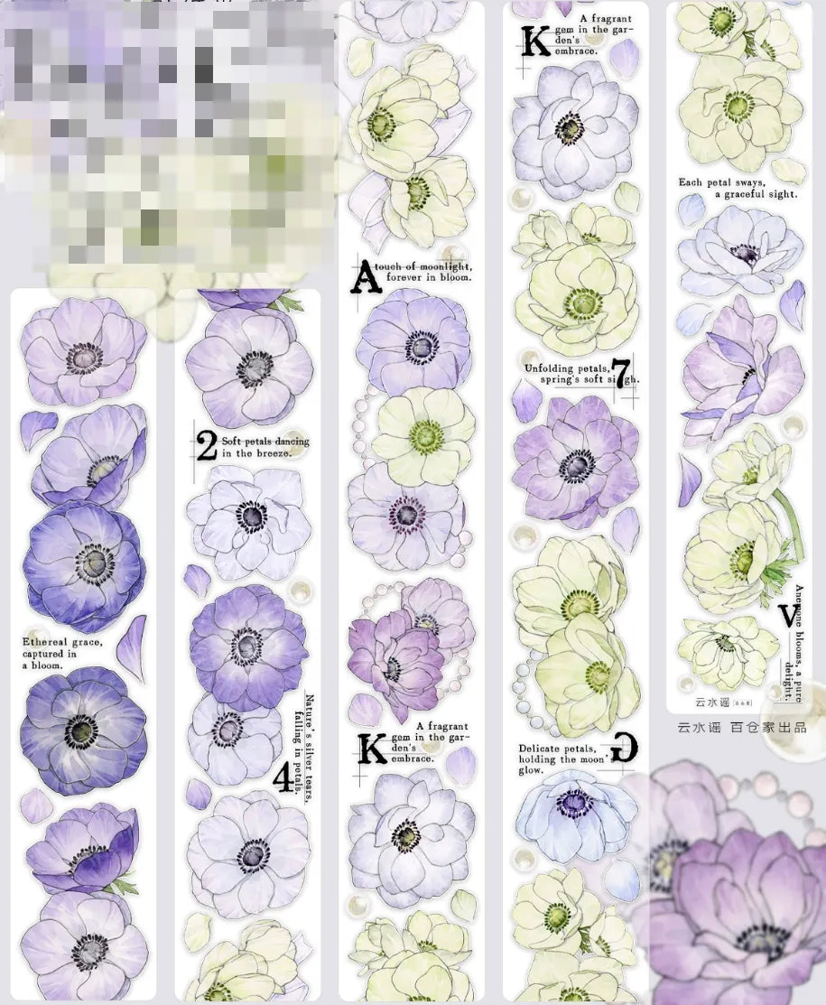 5688-NEW Studio-5x120cm Pre Cut Gloss PET Tape