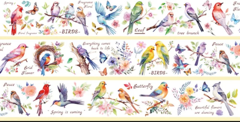 5742-5.5x100cm Galaxy Glow PET Tape