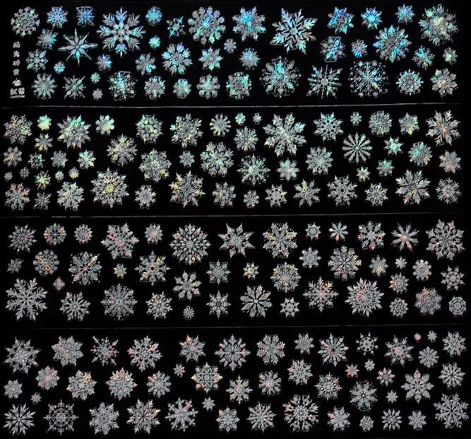 6180-UntilYou Studio-6x100cm Precut Shell Luster PET Tape