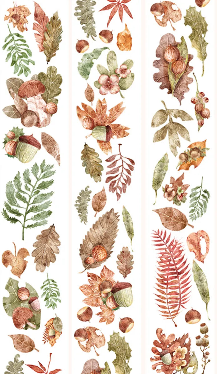 6376-0-6x100cm Glossy PET Tape