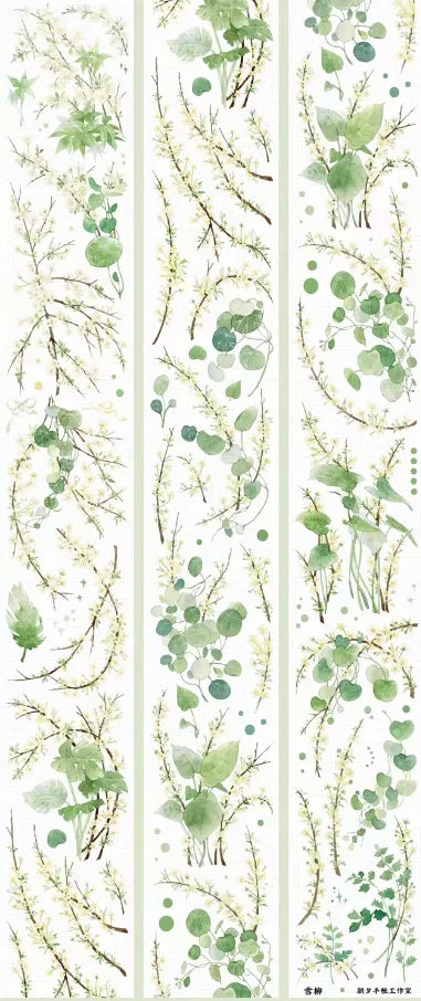 6529-ZHAOXI Studio-6x100cm Shell Luster PET Tape