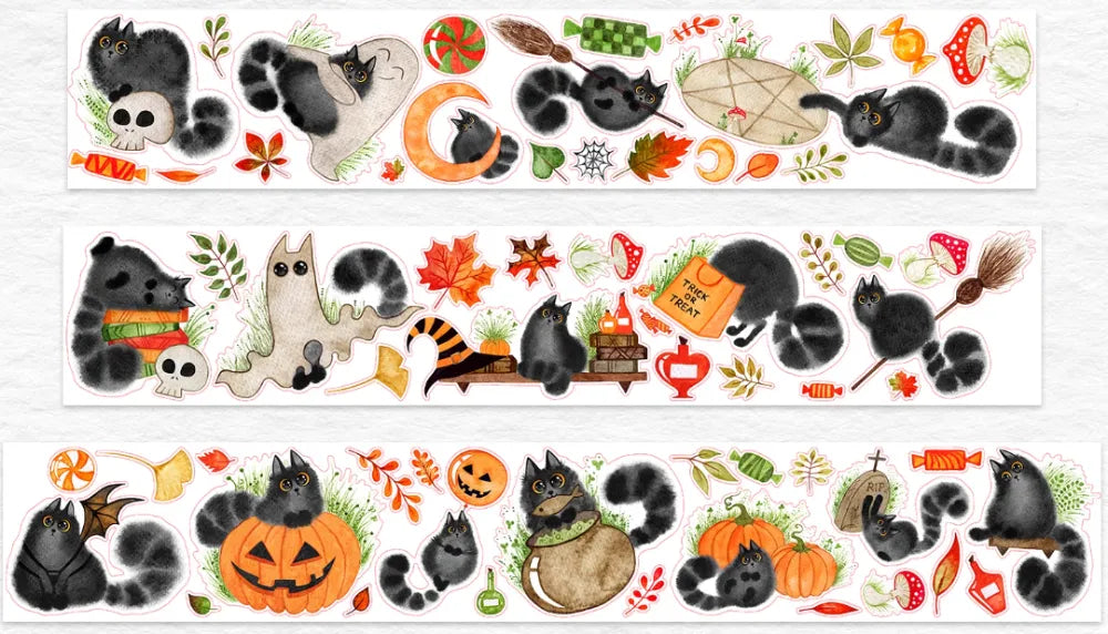 6552-WT Studio-6x100cm Pre Cut Gloss PET Tape