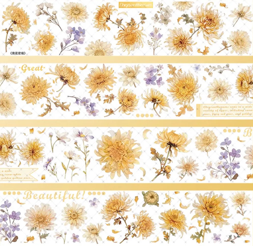 6967-SANDU Studio-6x100cm Shell Luster PET Tape