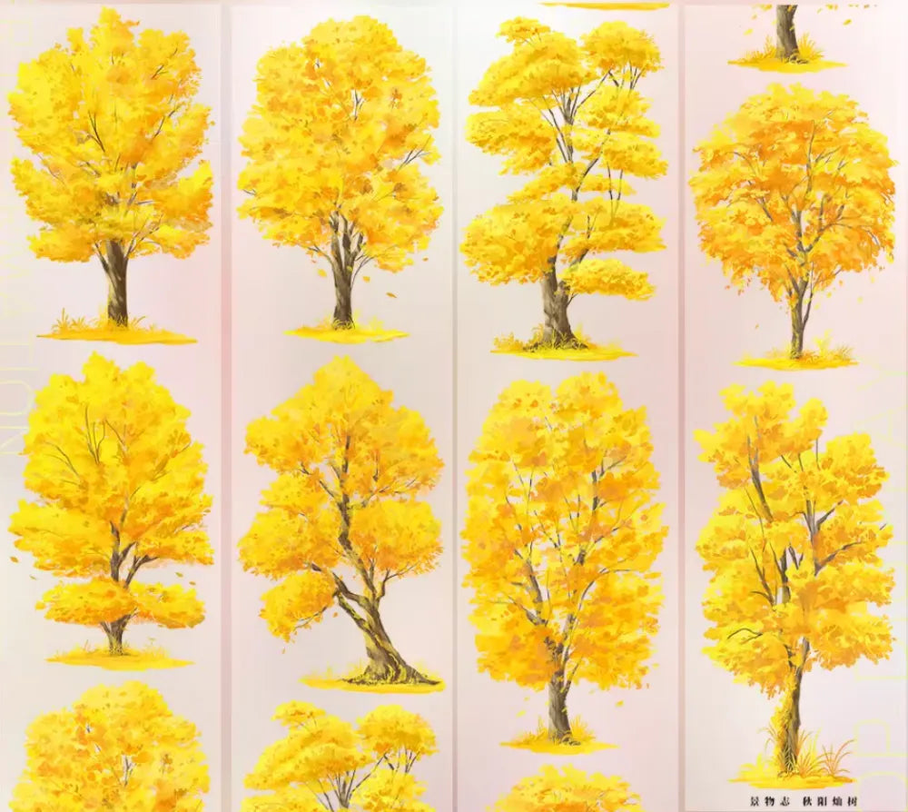 6969-JINGWUZHI Studio-7x90cm Glossy PET Tape