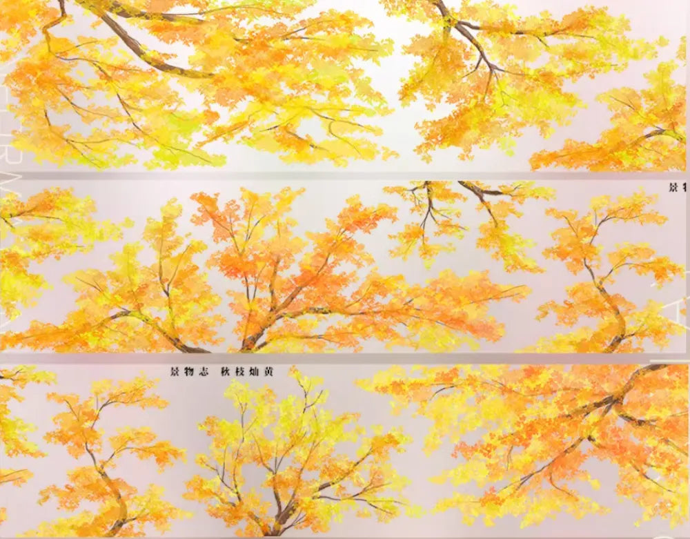 6970-JINGWUZHI Studio-6x57cm Glossy PET Tape