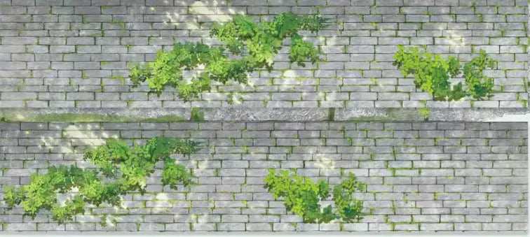 7091-The Seven Studio-6x70cm Washi PET Tape