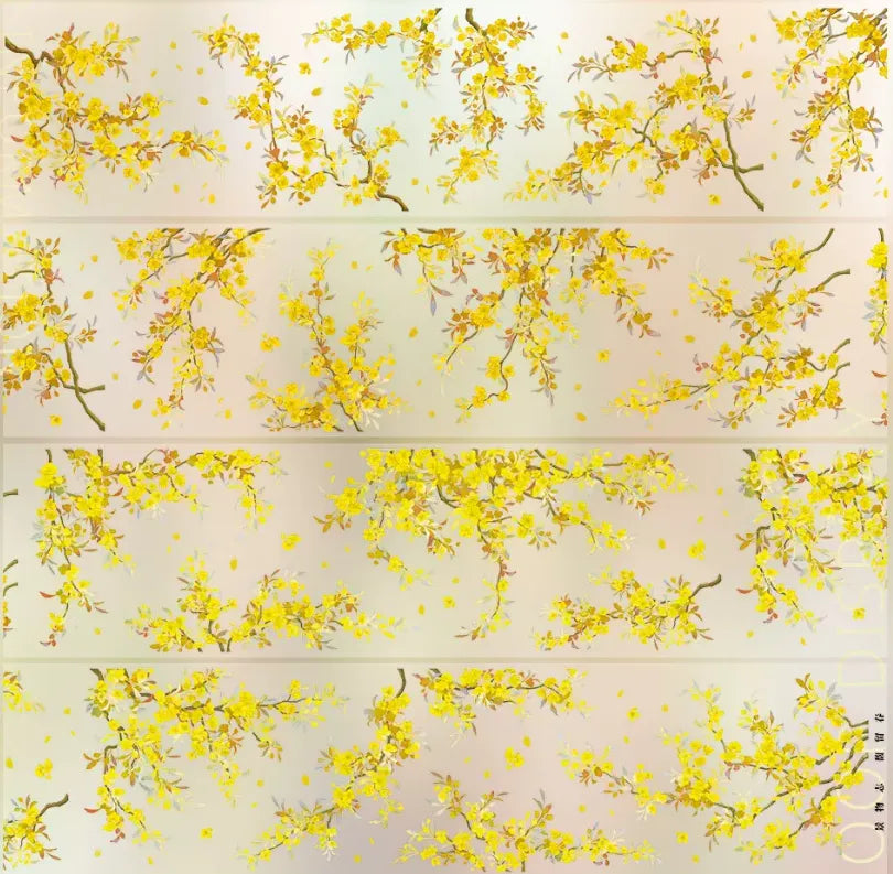 7582-JINGWUZHI Studio-7x100cm Glossy PET Tape