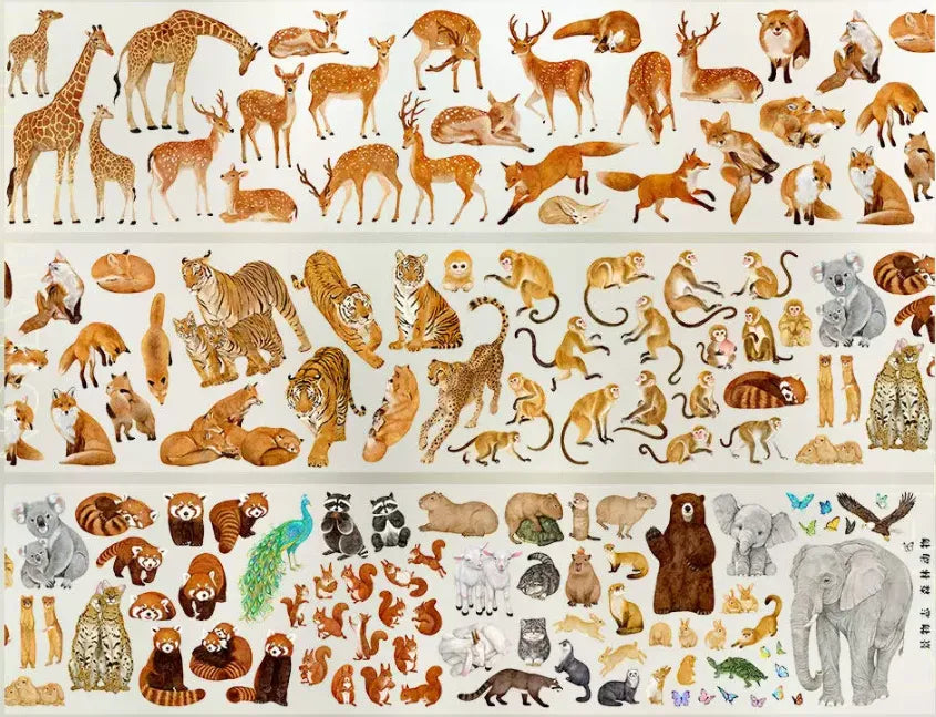 7819-JINGWUZHI Studio-7x77cm Glossy PET Tape