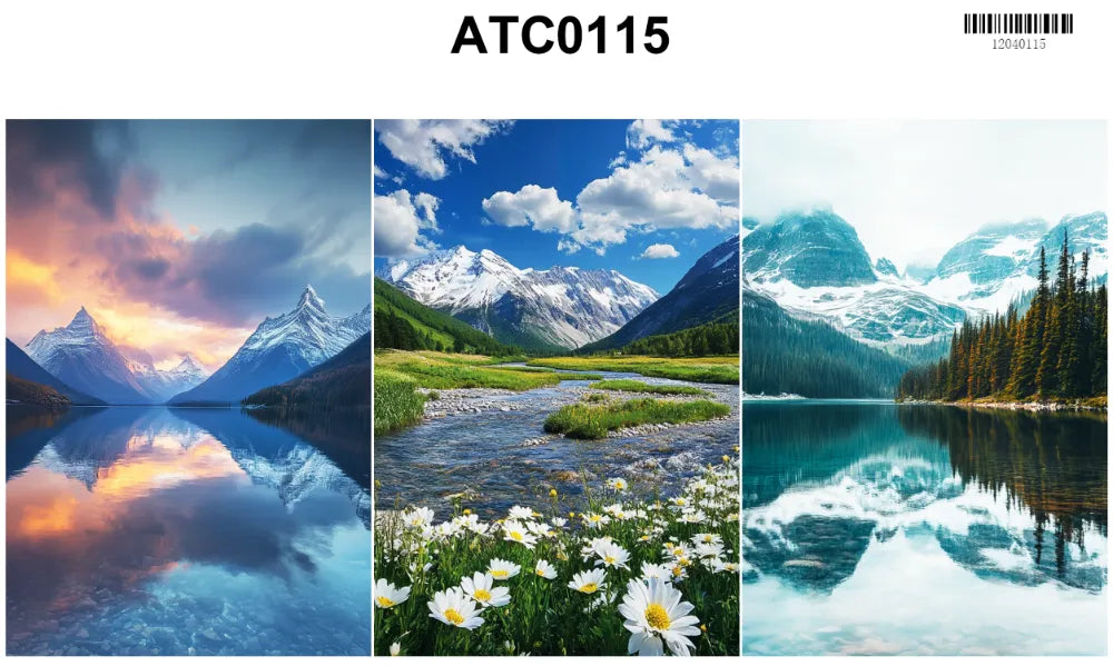 0115-Backgroud Designed by CharmChums