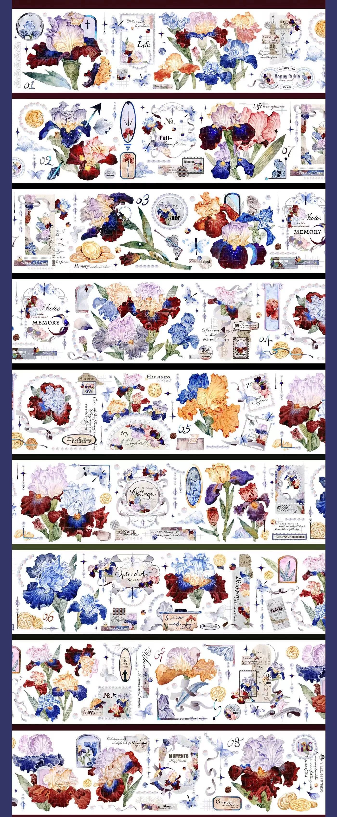 2431-StudioVI Studio-6x170cm Shell Luster PET Tape