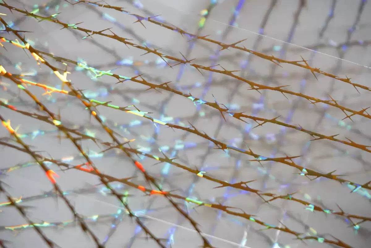 1801-UntilYou Studio-6x100cm Gold Shell Luster PET Tape