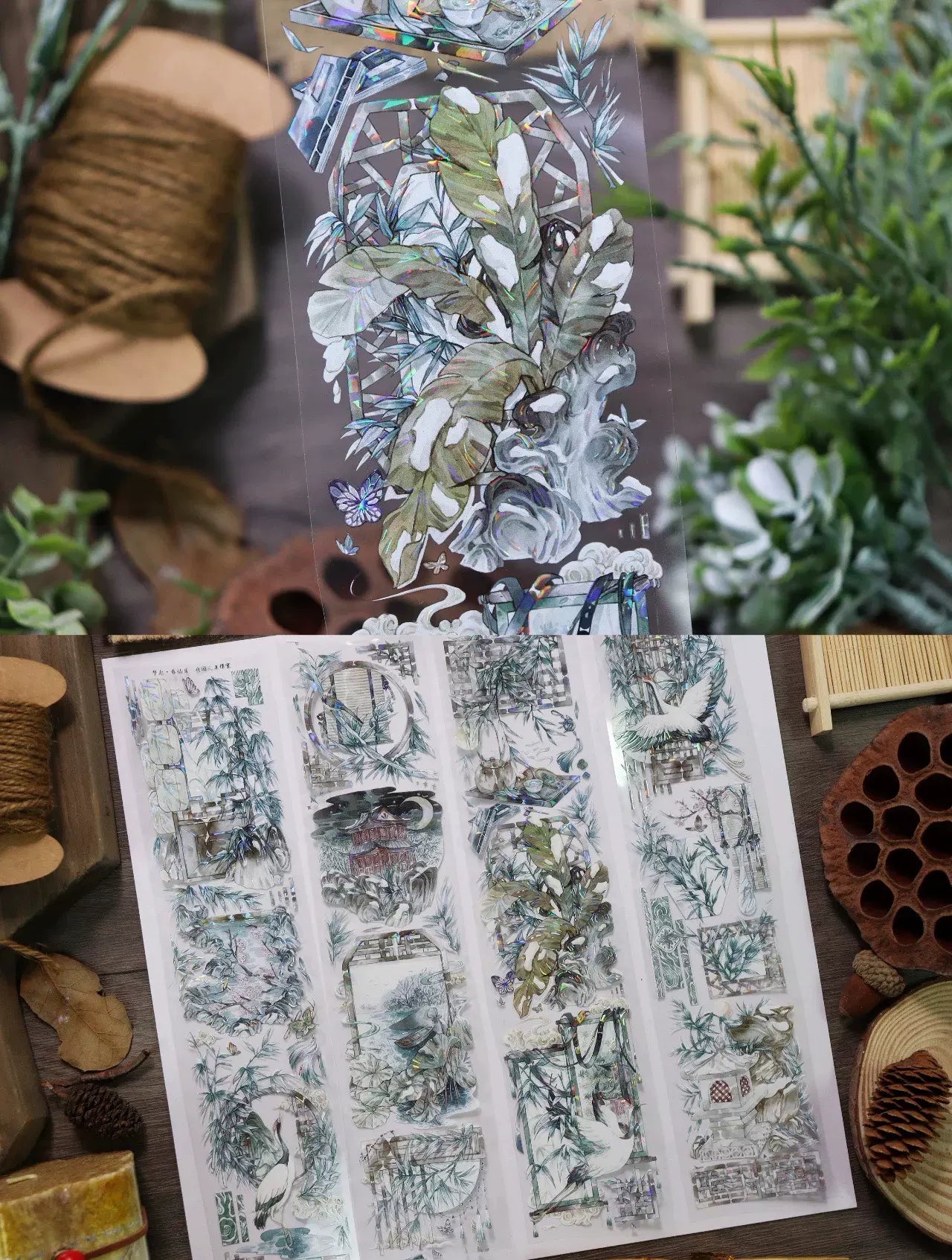 1725-6x100cm Shell Luster PET Tape