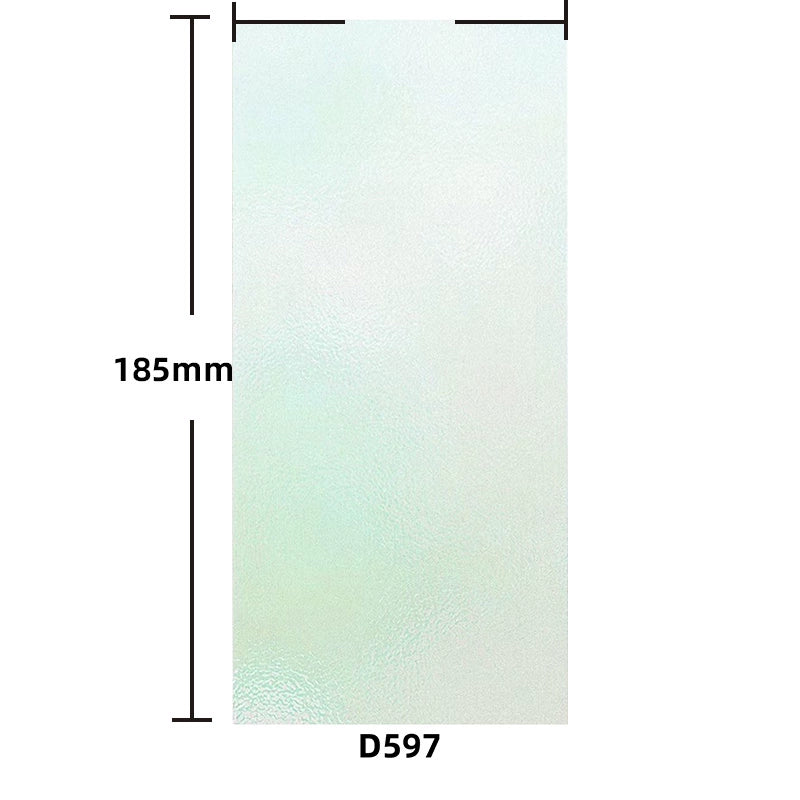 D597 Background Paper