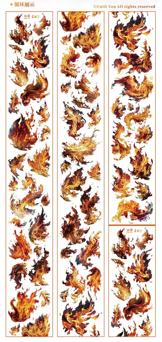 0779-UntilYou Studio-6x100cm Shell Luster PET Tape