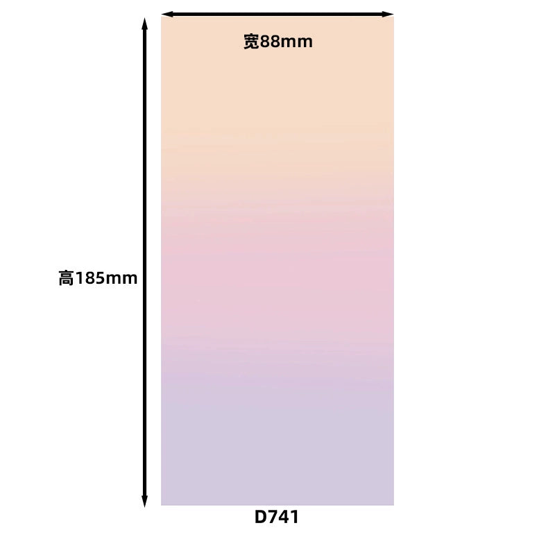 D741 Background Paper