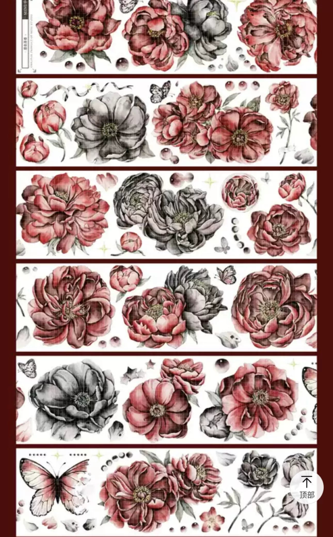 0631-MENU Studio-6x100cm Shell Luster PET Tape