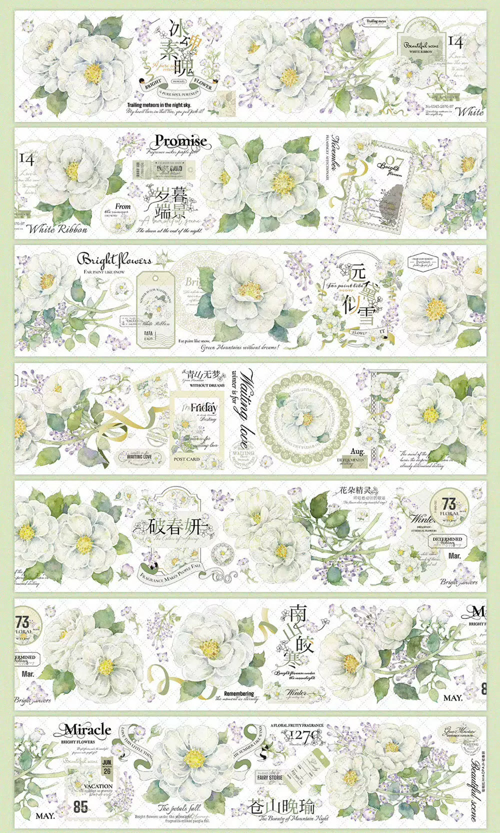 0972-MIAOPAJI Studio-6x160cm Shell Luster PET Tape