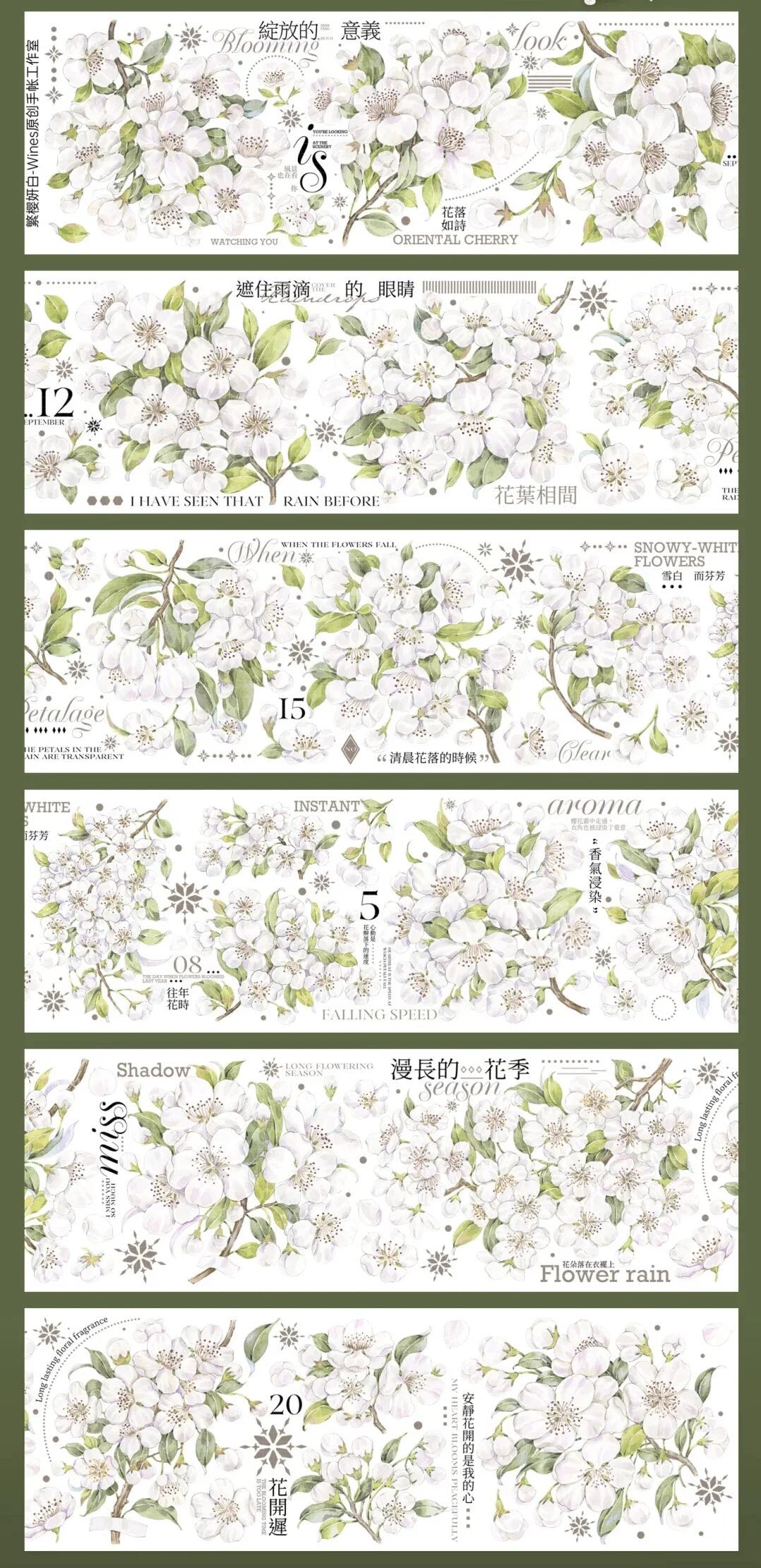 2684-Wines Studio-6x100cm Shell Luster PET Tape