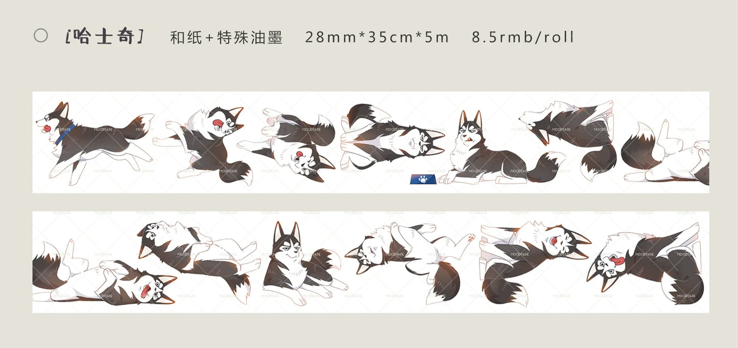 3256-MOODTAPE Studio-2.8x35cm Glossy PET Tape