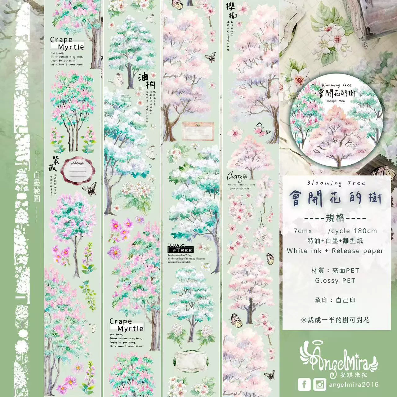 3370-Angela Studio-7x180cm Glossy PET Tape