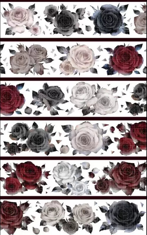 0643-StudioVI Studio-6x100cm Shell Luster PET Tape