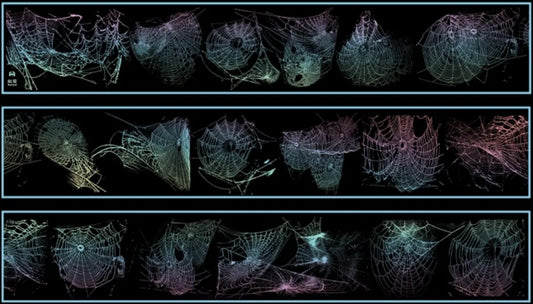 0241-UntilYou Studio-Holographic Silver PET Tape