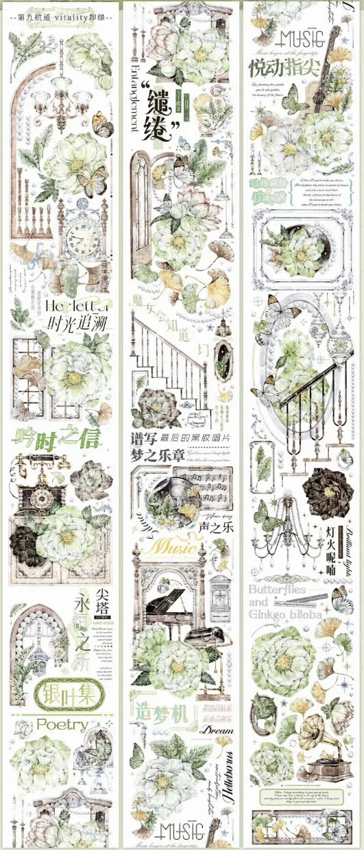 1079-6x125cm Shell Luster PET Tape