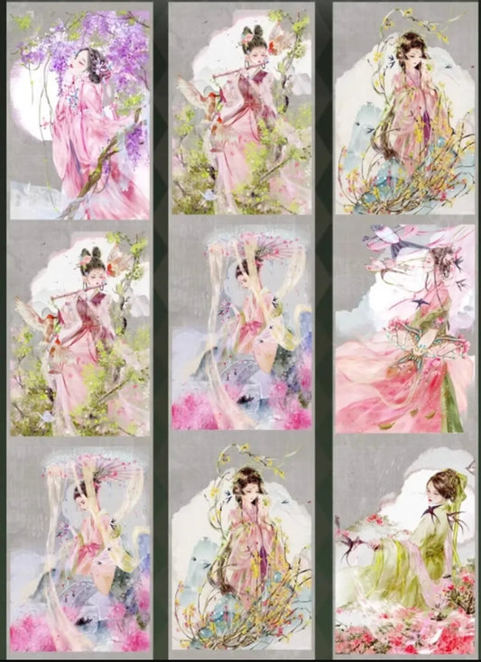 2048-FUGUI LEE Studio-8x72cm Shell Luster PET Tape