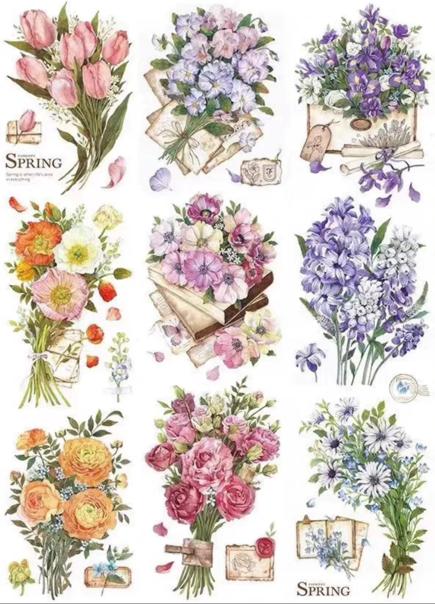 2423-33 Studio-8x100cm Shell Luster PET Tape