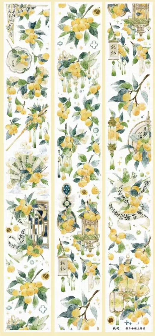 2517-6x100cm Shell Luster PET Tape