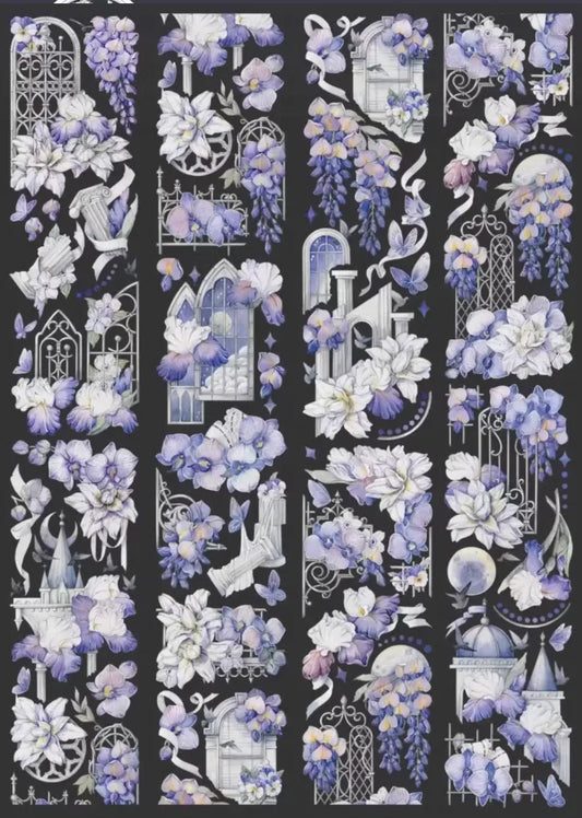 2659-HASISO Studio-6x100cm Shell Luster PET Tape