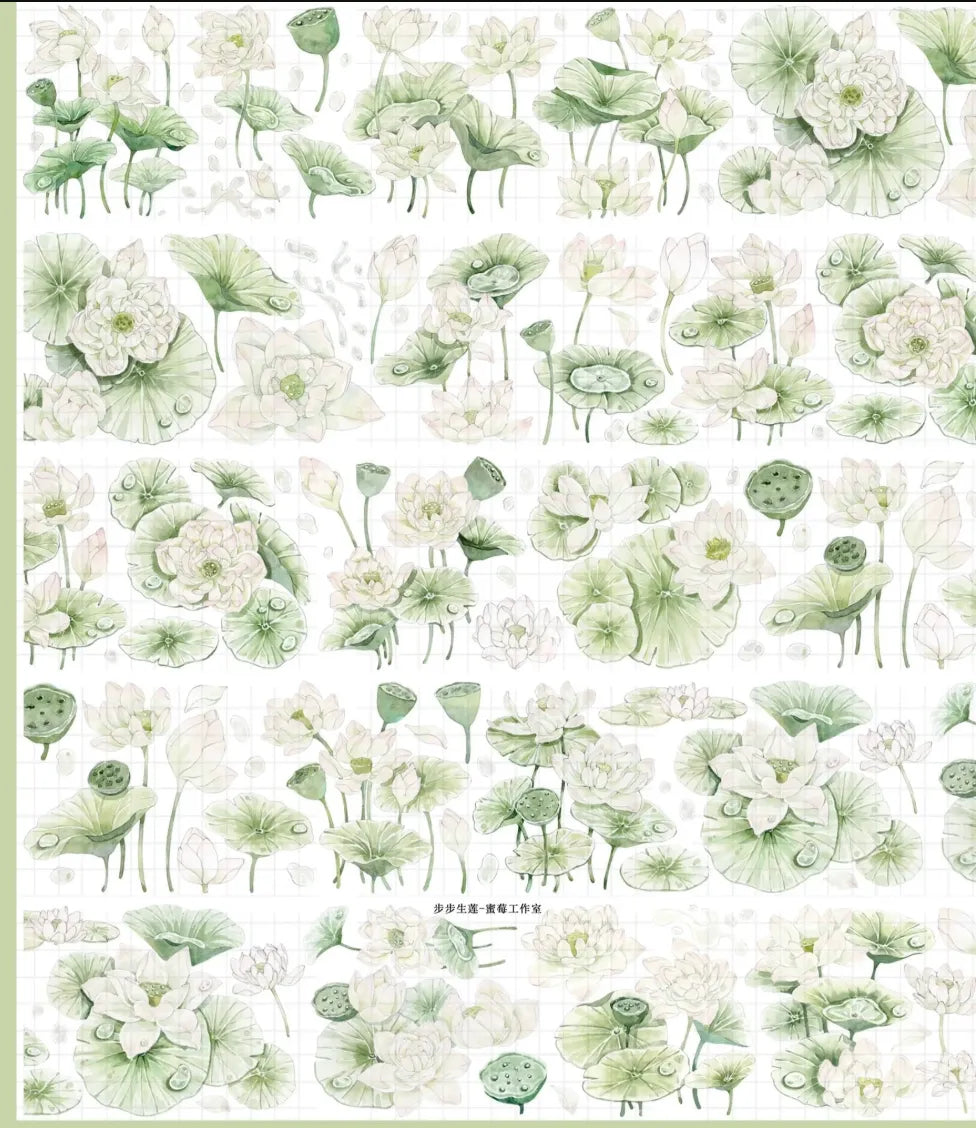 2847-Strawberry Studio-6x100cm Shell Luster PET Tape