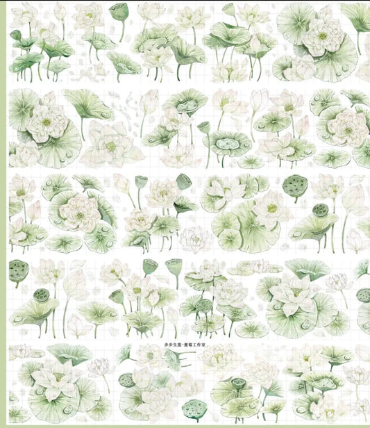 2847-Strawberry Studio-6x100cm Shell Luster PET Tape