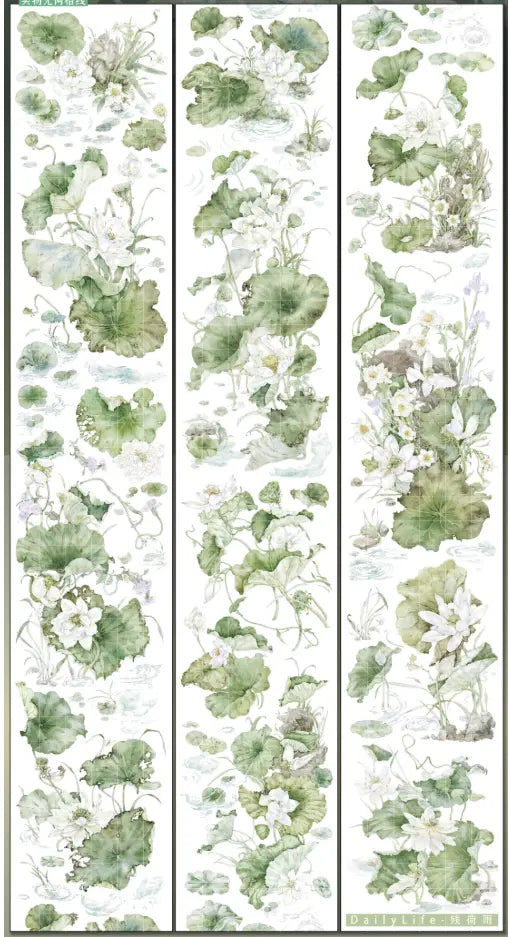 3465-DailyLife Studio-6x100cm Shell Luster PET Tape