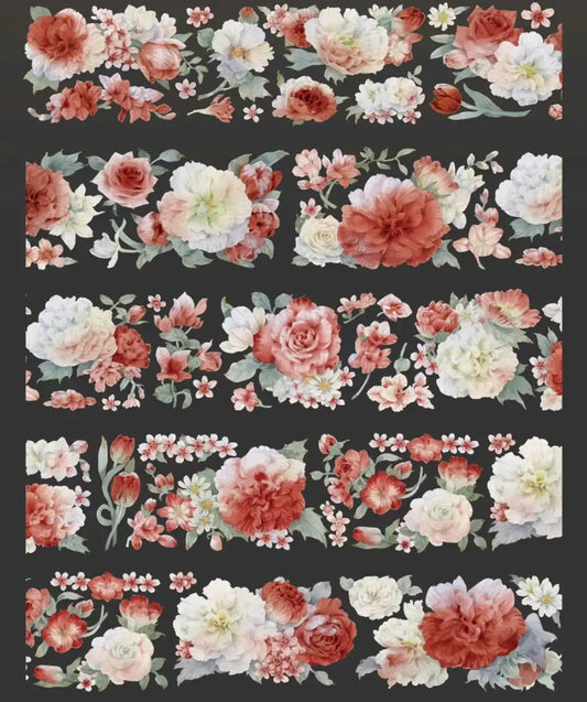 3577-HASISO Studio-5.5x100cm Shell Luster PET Tape