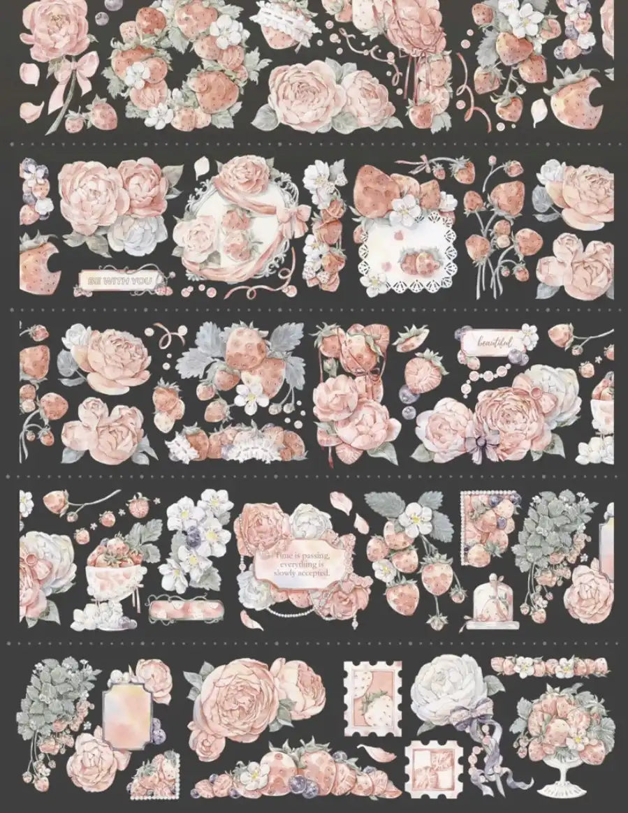 3581-HASISO Studio-6x100cm Shell Luster PET Tape