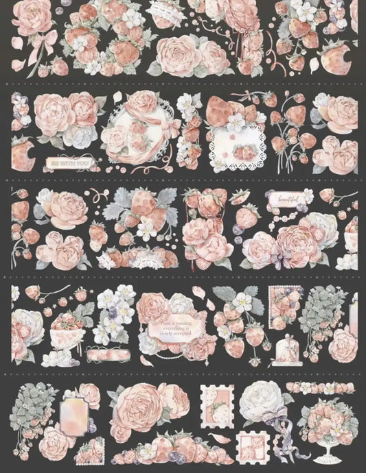 3581-HASISO Studio-6x100cm Shell Luster PET Tape