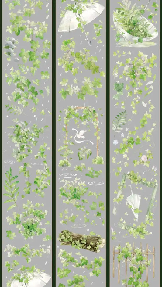 3601-XIAOYINYUYE Studio-6x100cm Shell Luster PET Tape